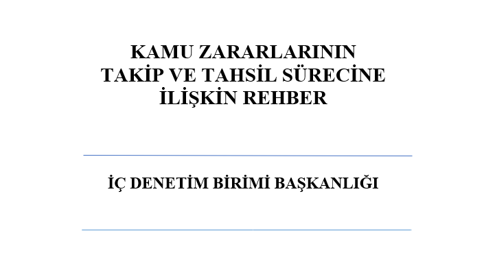 Kamu Zararlarının Takip ve Tahsil Sürecine İlişkin Rehber Yayınlandı